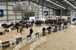 Auction-BK3568.jpg