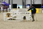 Haynes-BK2420.jpg