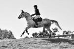 Cadwallader-BJ6169.jpg