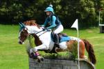 Howes-BG4458-2.jpg