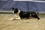 Bailey-BK3727.jpg