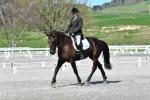 Morton-Beetham-3-BK8714.jpg