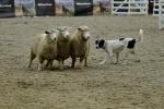 Lambourn-BK2288.jpg