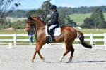 McGregor-1-BK8280.jpg