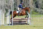 Honeyfield-BK7073.jpg