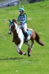 Howes-BG4457.jpg