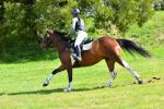 Roycroft-BG4750.jpg