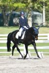 Searchfield-BL3272.jpg