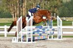 Stirling-223-BJ8034.jpg