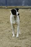 Lambourn-BK2284.jpg