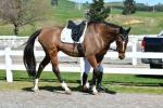 Waller-BK7835.jpg