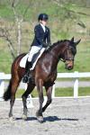 Purdie-1-BK7785.jpg