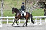 Purdie-1-BK7784.jpg