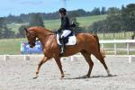 Arnott-BL4758.jpg