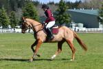 Morgaine-BK9137.jpg
