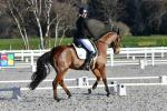 Barrowcliffe-2-BK8494.jpg