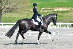 Purdie-2-BK8080.jpg
