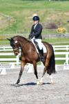 Harding-2-BK7805.jpg