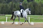 Searchfield-BL4282.jpg