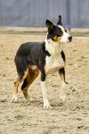 Jecentho-BK3949.jpg