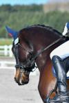 McGregor-2-BK8355.jpg