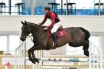 FanLing-BG1318.jpg