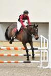 FanLing-BG1316.jpg