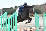 Montgomerie-BK6013.jpg