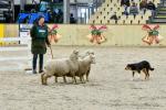 Lamb-BK3001.jpg