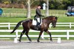 Morton-Beetham-3-BK8716.jpg