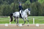 Searchfield-BL4285.jpg