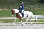 Fulford-BK4646.jpg