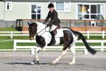 Morton-Beetham-1-BK8568.jpg