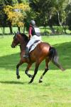Dorotich-259-BG4813.jpg