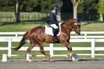 Corry-BL3081.jpg