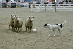 Lambourn-BK2289.jpg