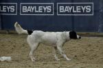 Lambourn-BK2282.jpg