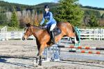 Beasant-BJ7910.jpg