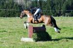 Cadwallader-46-BJ8451.jpg