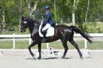 Sheldrake-BL4124.jpg