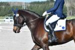 McGregor-2-BK8354.jpg