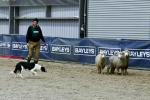 Burling-BK3179.jpg