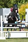 Lodder-BE8813.jpg