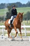 Arnott-BL4757.jpg