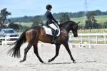 Purdie-BL4774.jpg