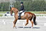 McGregor-1-BK8281.jpg
