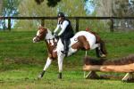 Kitcheman-BG4106.jpg
