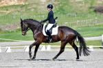 Purdie-1-BK7783.jpg