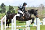 Ellingham-BK9291.jpg