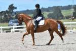 Arnott-BL4759.jpg